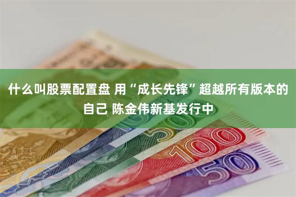 什么叫股票配置盘 用“成长先锋”超越所有版本的自己 陈金伟新基发行中