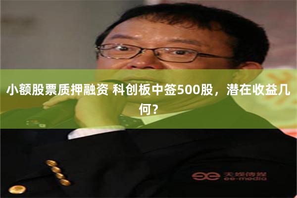 小额股票质押融资 科创板中签500股，潜在收益几何？