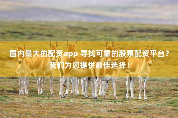 国内最大的配资app 寻找可靠的股票配资平台？我们为您提供最佳选择！