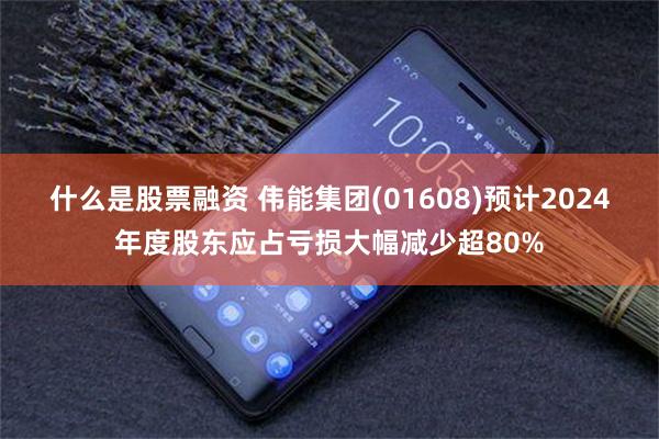 什么是股票融资 伟能集团(01608)预计2024年度股东应占亏损大幅减少超80%