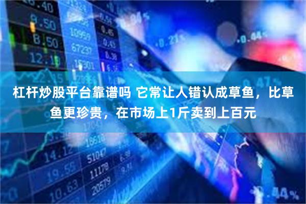 杠杆炒股平台靠谱吗 它常让人错认成草鱼，比草鱼更珍贵，在市场上1斤卖到上百元