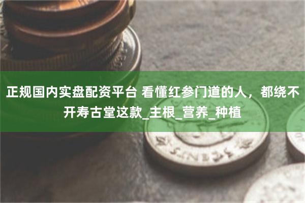 正规国内实盘配资平台 看懂红参门道的人，都绕不开寿古堂这款_主根_营养_种植