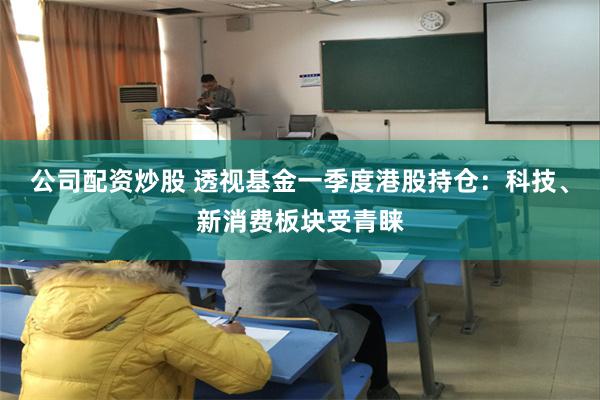 公司配资炒股 透视基金一季度港股持仓：科技、新消费板块受青睐