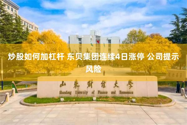炒股如何加杠杆 东贝集团连续4日涨停 公司提示风险