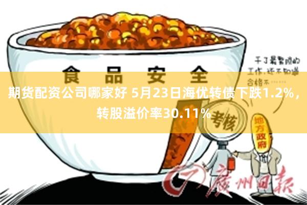期货配资公司哪家好 5月23日海优转债下跌1.2%，转股溢价率30.11%