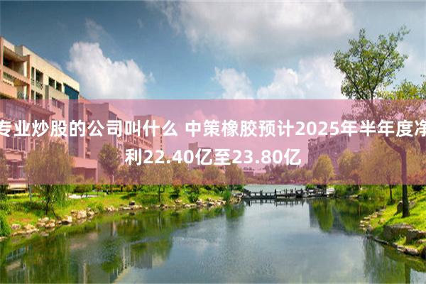 专业炒股的公司叫什么 中策橡胶预计2025年半年度净利22.40亿至23.80亿
