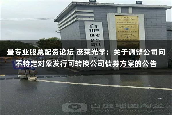 最专业股票配资论坛 茂莱光学：关于调整公司向不特定对象发行可转换公司债券方案的公告