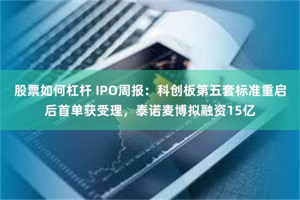 股票如何杠杆 IPO周报：科创板第五套标准重启后首单获受理，泰诺麦博拟融资15亿