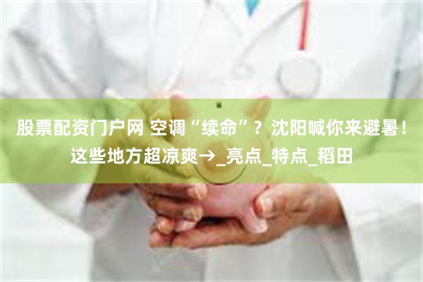 股票配资门户网 空调“续命”？沈阳喊你来避暑！这些地方超凉爽→_亮点_特点_稻田