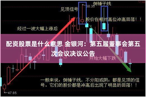配资股票是什么意思 金银河：第五届董事会第五次会议决议公告