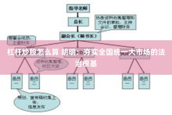 杠杆炒股怎么算 胡明：夯实全国统一大市场的法治根基