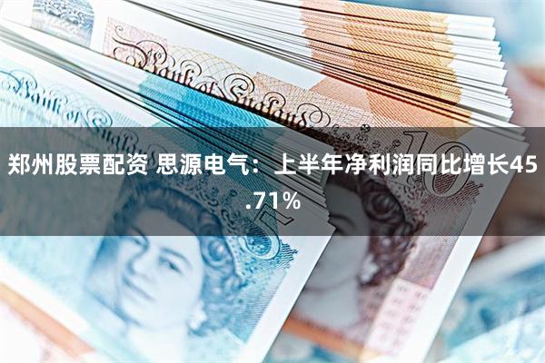 郑州股票配资 思源电气：上半年净利润同比增长45.71%