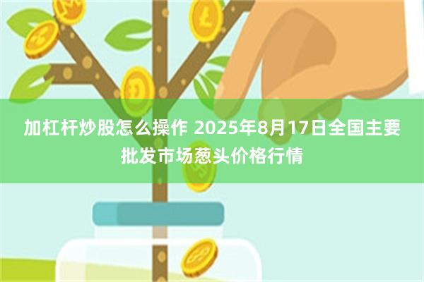 加杠杆炒股怎么操作 2025年8月17日全国主要批发市场葱头价格行情